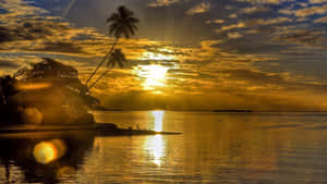 Golden Sunset Reflecting On Calm Waters Wallpaper