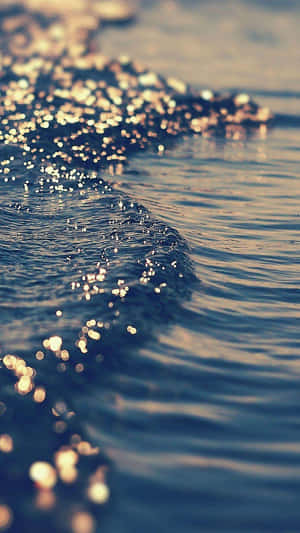 Golden Sunset Sparkles Water.jpg Wallpaper