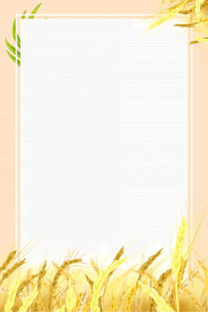 Golden Wheat Field During Harvest Season Wallpaper