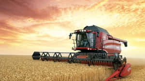 Golden Wheat Harvest Under A Blue Sky Wallpaper