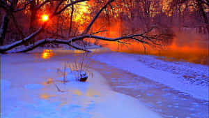 Golden Winter Sun Shining Over Snowy Landscape Wallpaper