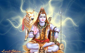 Golden Wisps Blue Background Shankar Bhagwan Wallpaper