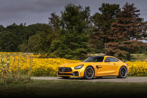 Golden Yellow Amg Gt R Wallpaper