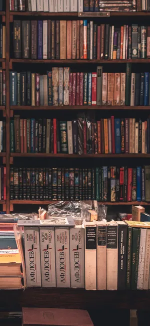 Golden Yellow Sunflower Closeup Wallpaper