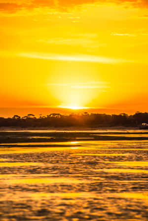 Golden Yellow Sunset Under The Blue Sky Wallpaper