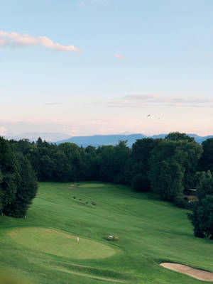 Golf Green Grass And Trees Iphone Wallpaper