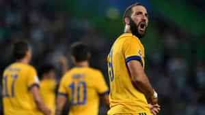 Gonzalo Higuain Shocked Juventus Vs. Sporting Cp Wallpaper