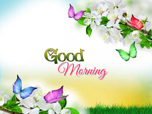 Good Morning Flowers Butterfly Wallpaper