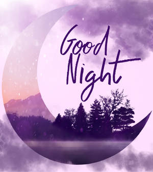 Good Night Aesthetic Portrait Wallpaper