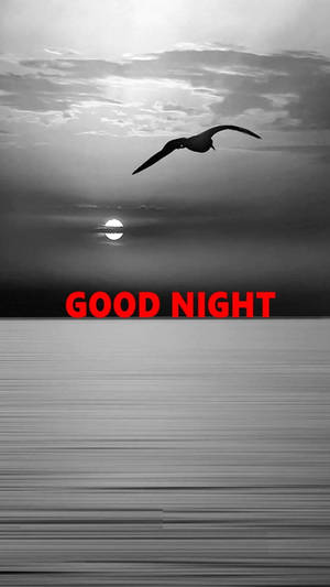 Good Night Black And White Wallpaper