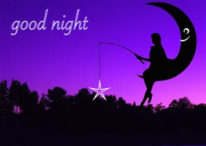 Good Night Silhouette Wallpaper