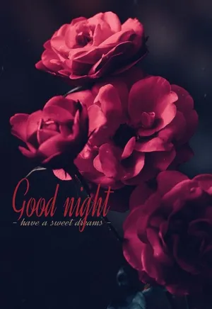 Good Night Sweet Dreams Rose Flowers Wallpaper
