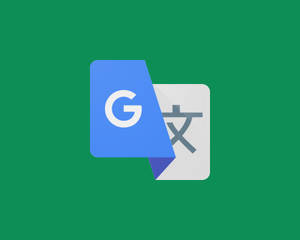 Google Translate Green Background Wallpaper