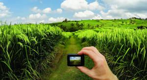 Gopro Grassy Pathway Wallpaper