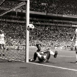 Gordon Banks Making Historic Save Wallpaper