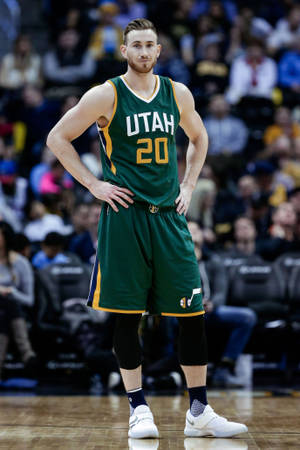 Gordon Hayward Utah 20 Forward Wallpaper