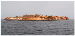 Goree Carless Island Wallpaper