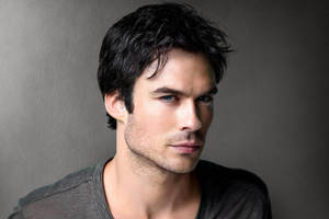 Gorgeous Damon Salvatore Wallpaper