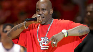 Gorgeous Dmx Wallpaper