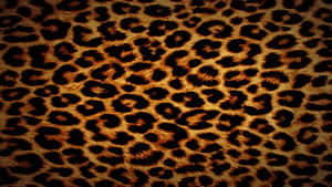 Gorgeous Leopard Pattern Wallpaper Wallpaper