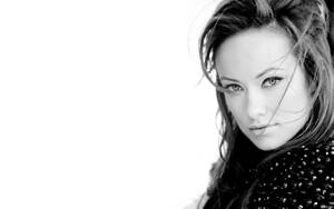 Gorgeous Olivia Wilde Wallpaper