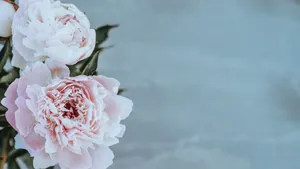 Gorgeous Wedding Flowers Arrangement Wallpaper