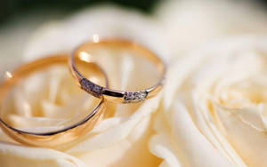 Gorgeous Wedding Rings On White Flower Wallpaper