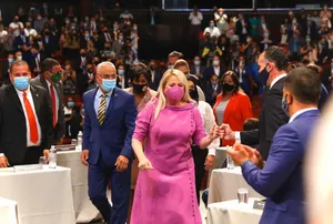 Governor Wanda Vázquez Garced In Pink Wallpaper