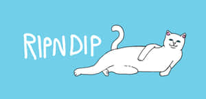 Grab Life By The Paws. Wallpaper