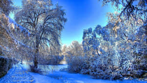 Grab Your Laptop And Enjoy The Winter Wallpaper