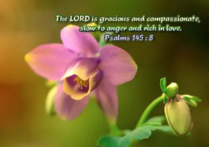 Gracious Lord Wallpaper