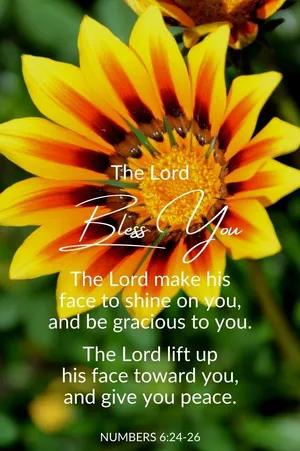 Gracious Sunflower Wallpaper