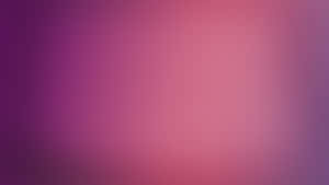 Gradient Solid Purple And Pink Wallpaper