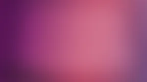 Gradient Solid Purple And Pink Wallpaper