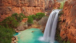 Grand Canyon Havasu Falls Wallpaper