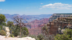 Grand_ Canyon_ View_4 K Wallpaper