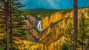 Grandeur Of The Grand Prismatic Spring At Yellowstone National Park Wallpaper