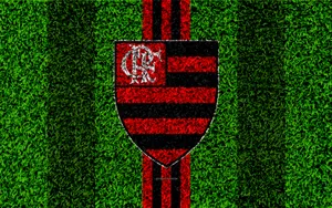 Grass Field Flamengo Fc Wallpaper