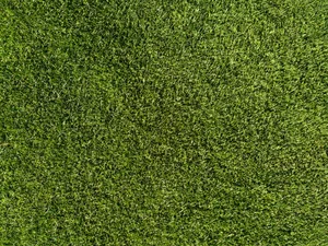 Grass Textures For Photoshop Wallpaper