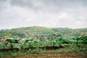 Grassy Green Hill In Sierra Leone Wallpaper