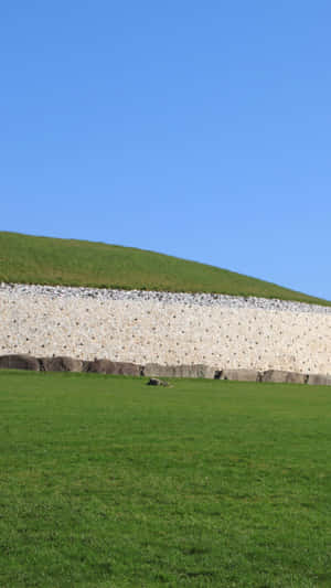 Grassy Newgrange With Blue Sky Portrait Wallpaper