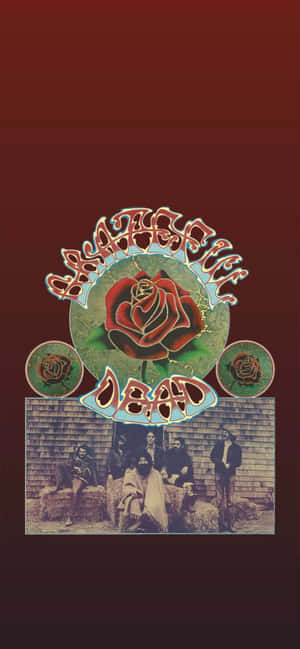 Grateful Dead - Dark Star Iphone Background Wallpaper