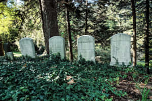 Gravestone In The Cemetery Wallpaper