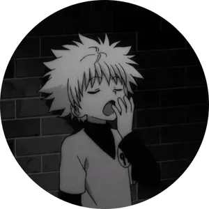 Gray And Black Anime Pfp Killua Wallpaper