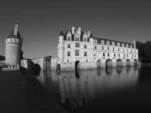 Grayscale Chenonceau Wallpaper