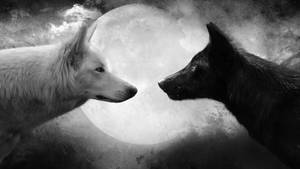 Grayscale Hd Wolf Moon Wallpaper