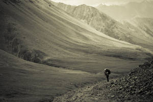 Grayscale Kyrgyzstan Nature Wallpaper