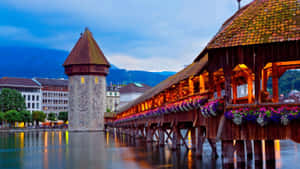 Grazing Sheep In German Countryside Wallpaper