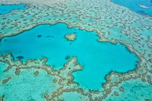Great Barrier Reef Aerial View Wallpaper