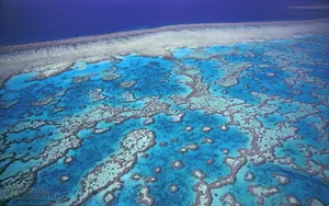 Great Barrier Reef Marine Park Islands Wallpaper